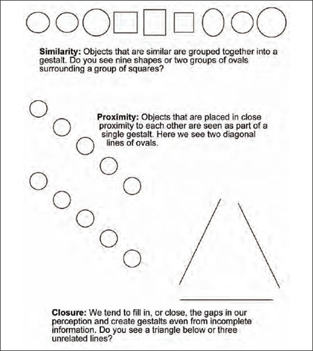 what-other-principles-of-perception-come-from-gestalt-theory-the-handy-psychology-answer-book